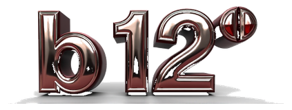 b 12 logo